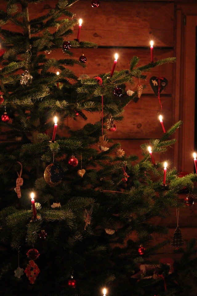 Christmas season tree